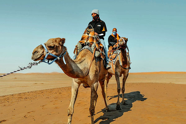 CamelRides