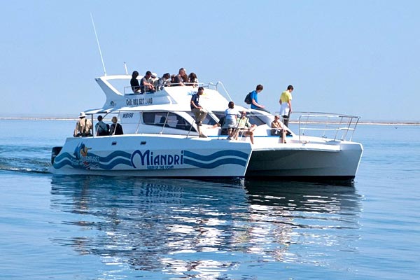DolphinCruises